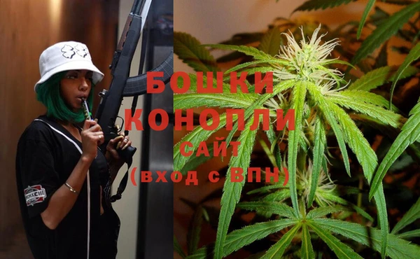 ГАЛЛЮЦИНОГЕННЫЕ ГРИБЫ Белоозёрский