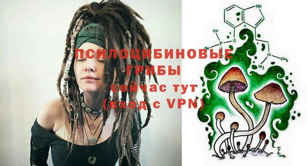 apvp Белокуриха