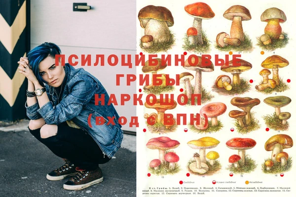 apvp Белокуриха