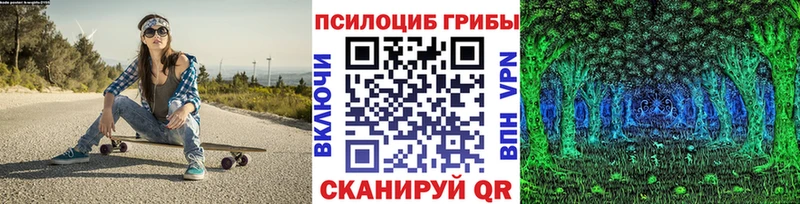 Псилоцибиновые грибы Magic Shrooms  нарко площадка Telegram  Невель 