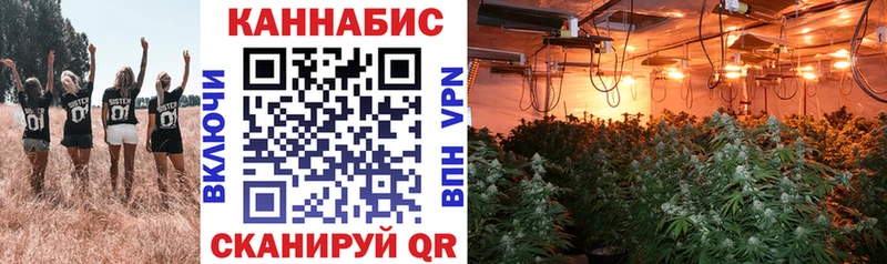 МЕГА зеркало Невель нарко площадка как зайти где купить наркоту Каннабис марихуана